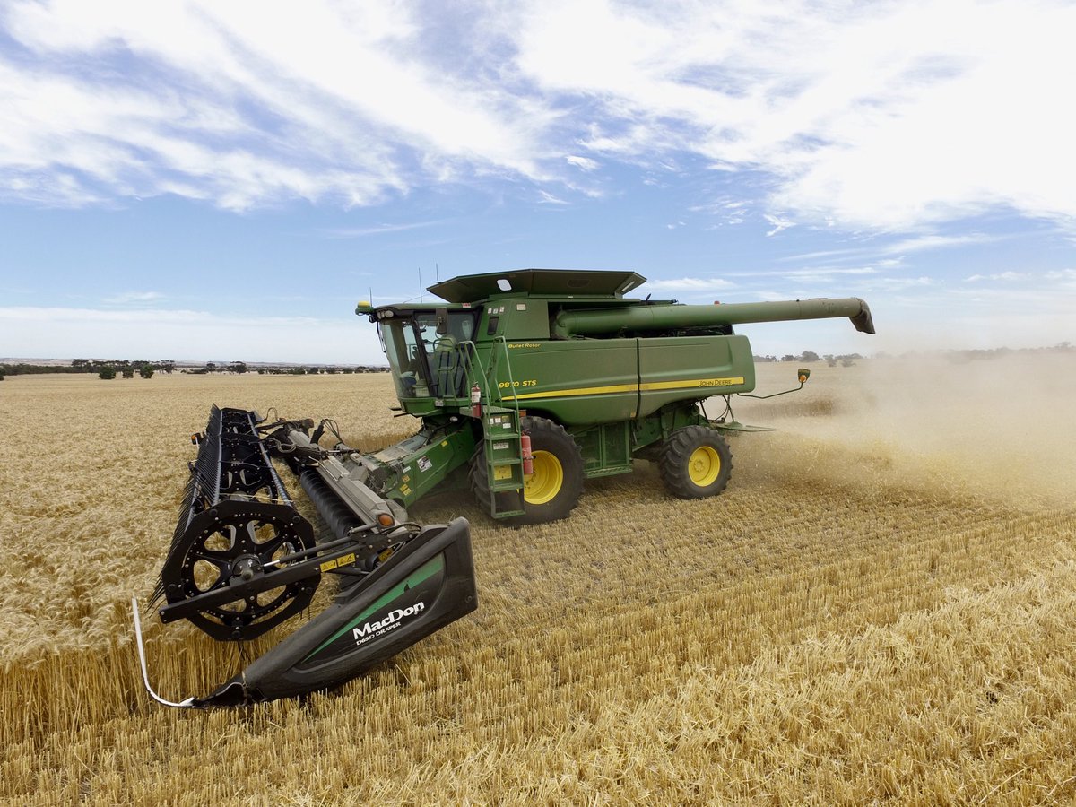 Dan Adams tweet media