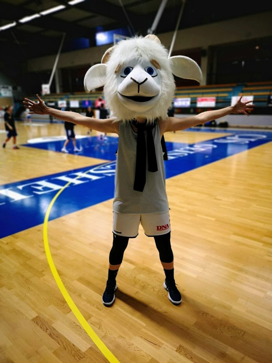 CJSGeispolsheim's tweet photo. GEISSY : vous avez pu apercevoir Geissy pour la première fois au match des SF1 contre la SIG. Chez nos seniors, elle a fait l'unanimité ! Et vous ? Vous avez envie de la revoir ??
#GEISSY #GOGEISPO 🔵⚪️🏀🐐🔥👏🏼 https://t.co/pV3zocbZkz