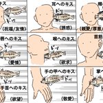 魚のキスから学ぶ？体のどこにするかでわかるキスの意味!