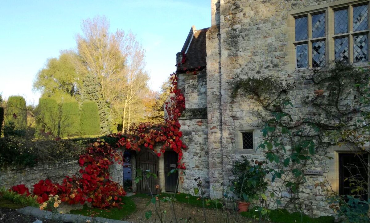 NettlesteadPL's tweet image. Glorious morning here at Nettlestead Place ☀️ #morning #weddingvenue #WeddingVibes #venue #glorious #gardens #winter #sun #undercroft #love #Kentishwedding #Kent #Nettlesteadplace