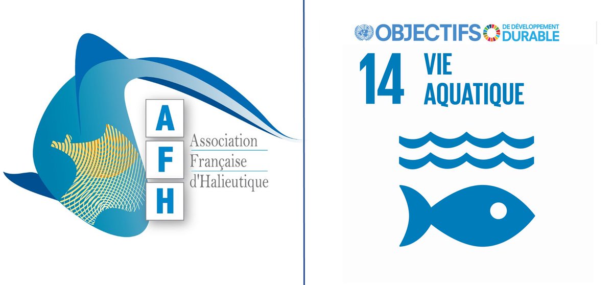 Fabien Moullec Don T Forget To Submit Your Abstract For Afhalieutique Symposium On Sdg14 Odd14 At Universite Caen Deadline End Of February Afhal19 T Co Uhhziyspia