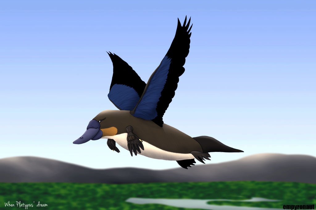 platypus evolution gods platypus evolution gods
