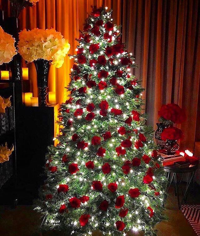LittleMakesBig's tweet photo. The plan this year, thank you @jeffleatham for endless inspiration! ~ Rebecca #christmas #love #roses https://t.co/MKL6StY8ai https://t.co/I2NvAAJBVW