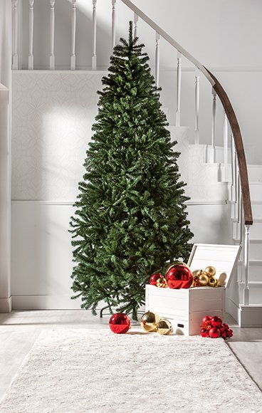 syntonize_'s tweet photo. Esta tarde, como toda gran familia, nos juntaremos para decorar nuestro árbol de navidad 🎄✨ Un árbol muy especial porque estará lleno de todos nuestros deseos para el 2019 💕
👉STAY SYNTONIZED!
#sytnonize #navidad #syntonizers #family https://t.co/g37gLrnu8L