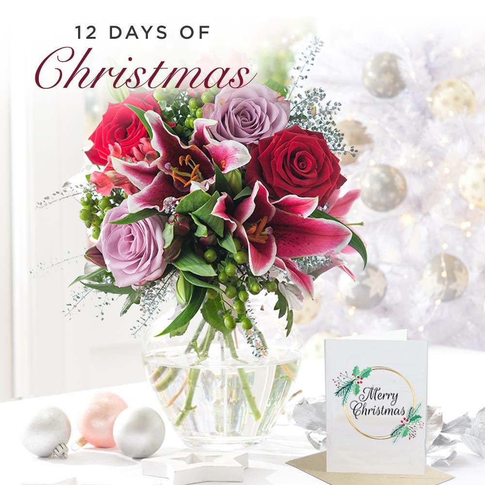 AppleyardLondon's tweet image. 💐 On the eleventh day of Christmas, Appleyard gave to me... A 12 Month Flower Subscription! 

To enter, simply follow us and RT!

Read more: goo.gl/T2WNh9