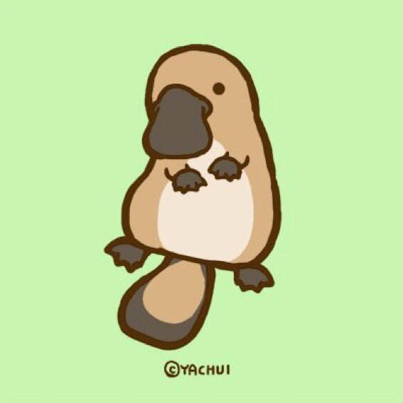 カモノハシのtwitterイラスト検索結果
