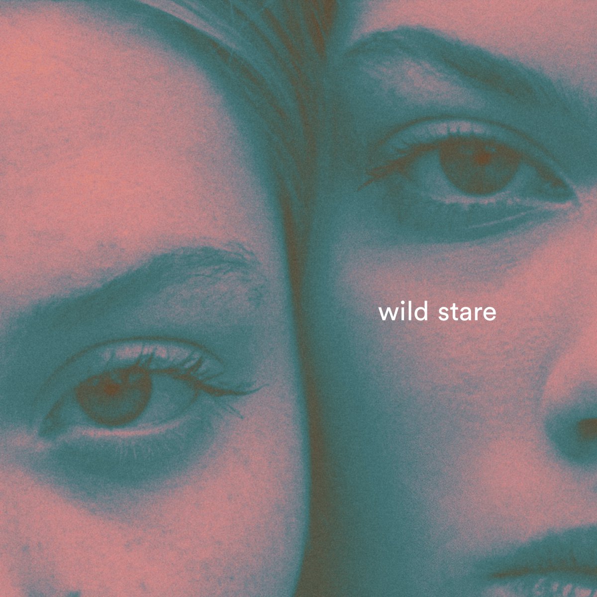 earonemusic's tweet image. #WildStare di Giant Rooks in #radio da oggi