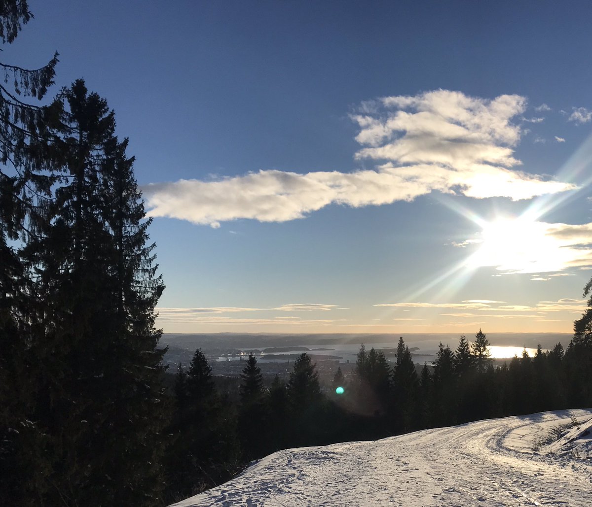 Katja Mjøsund tweet media