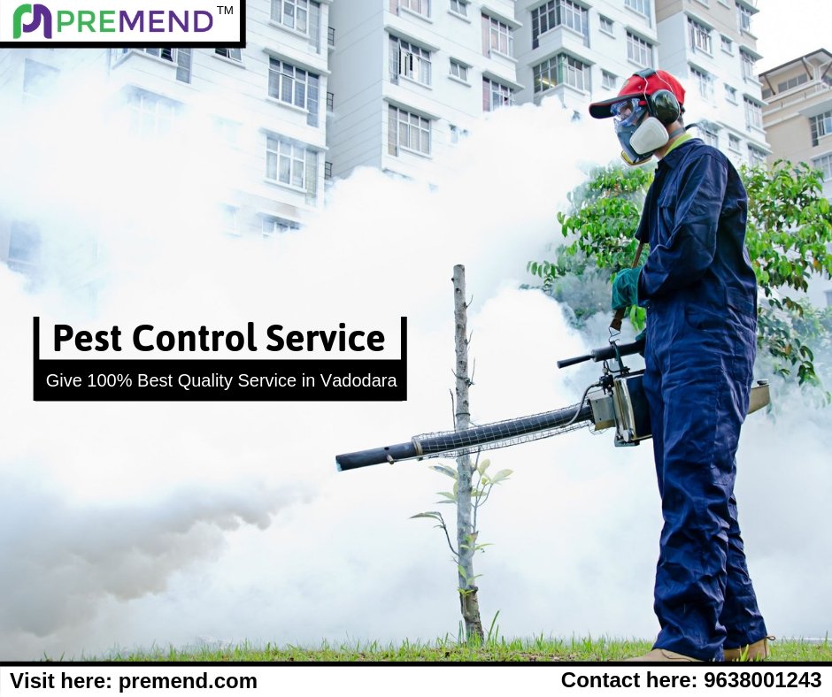 Premend1's tweet photo. #PestControl Service in #Vadodara

Get 100% best quality service from #Premend

Book a Service: https://t.co/TEc8IJz4n6

#homeservice #service https://t.co/5Hq9FlN56I