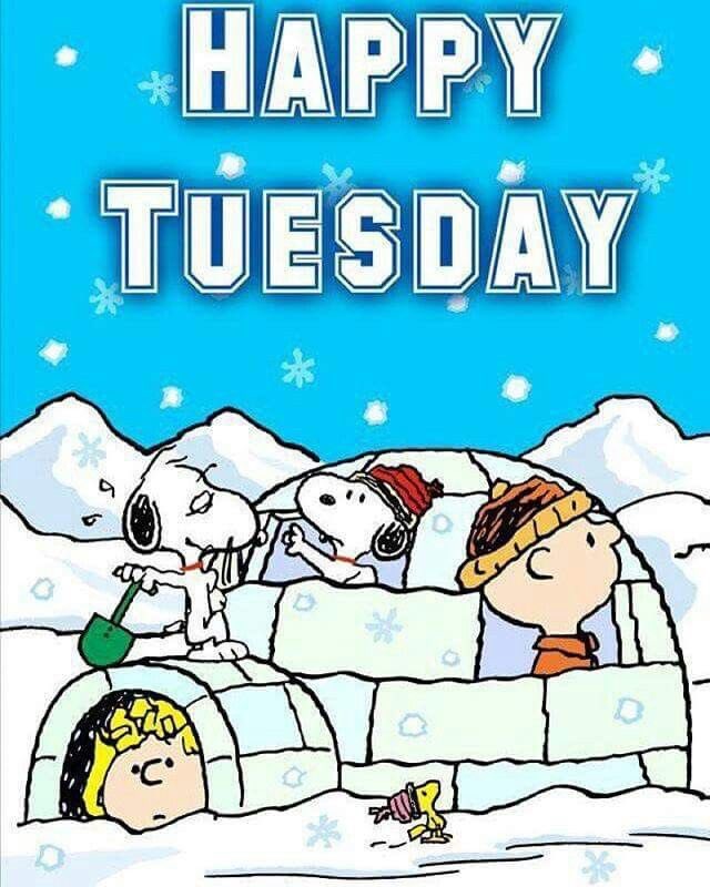 Paul Jon On Twitter Snoopy Sending Tuesday Morning Greetings