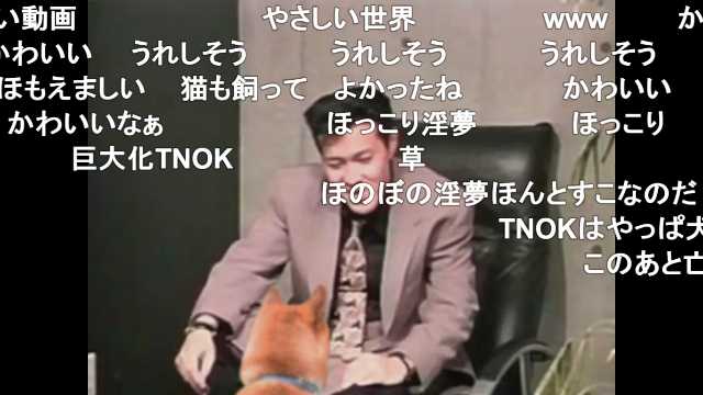 みえけん 猫に追突されたtnok T Co Ahuijchked Sm ニコニコ動画 みえけん 猫に追突されたtnok T Co Ahuijchked Sm ニコニコ動画