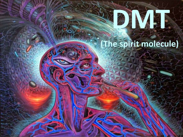 HelmerCrypto's tweet image. #Blockchain #Crypto I have a hypothesis that I trade much better when i smoke DMT