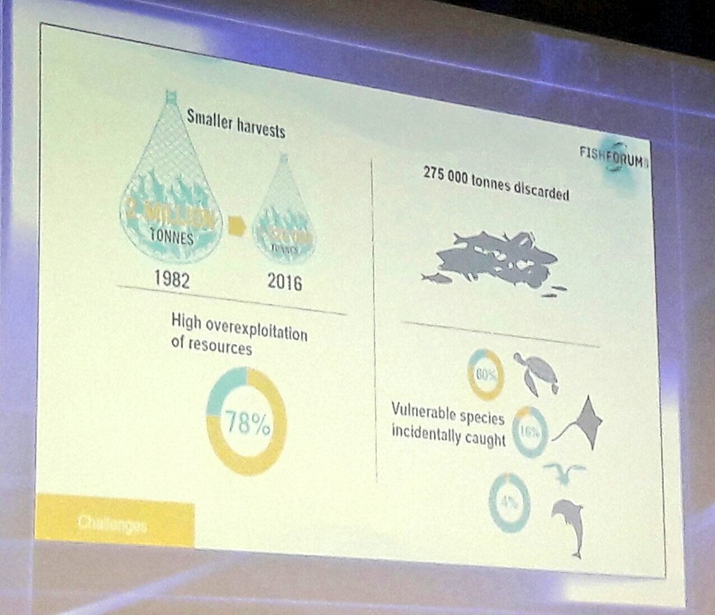nico_fournier's tweet photo. #SoMFI2018 launch: 78% of Mediterranean &amp; Black Sea stocks overfished. Clear challenge of discards and #bycatch #FishForum2018 @UN_FAO_GFCM https://t.co/ECWbEi4bgi