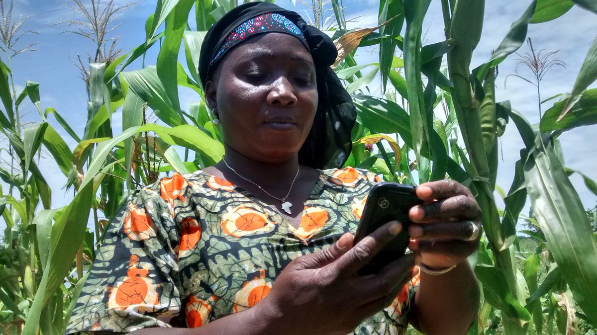 GenAfrica_'s tweet photo. From a rudimentary📘🖊️ approach to something more digital💻📱, @ensibuuko empowers loans and saving cooperatives to manage with more efficiency, customer data and transactions. @ClarePedrick reports >>https://t.co/bgNEl5kLen #Exp_Cap #KnowledgeProducts #Digitalag # https://t.co/CwgGqrdQlq