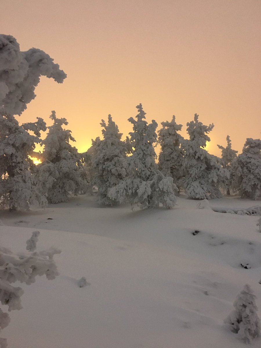 jannekarikoski1's tweet photo. Aivan loistava loma! 🦌😊 Kiitos @Rukaland1! 🙏🏻 Awesome trip and thanks @Rukaland1! 😊🦌 #loma #poro #kiekerönmaa #perhe #lappis https://t.co/MKbXQO6IFj