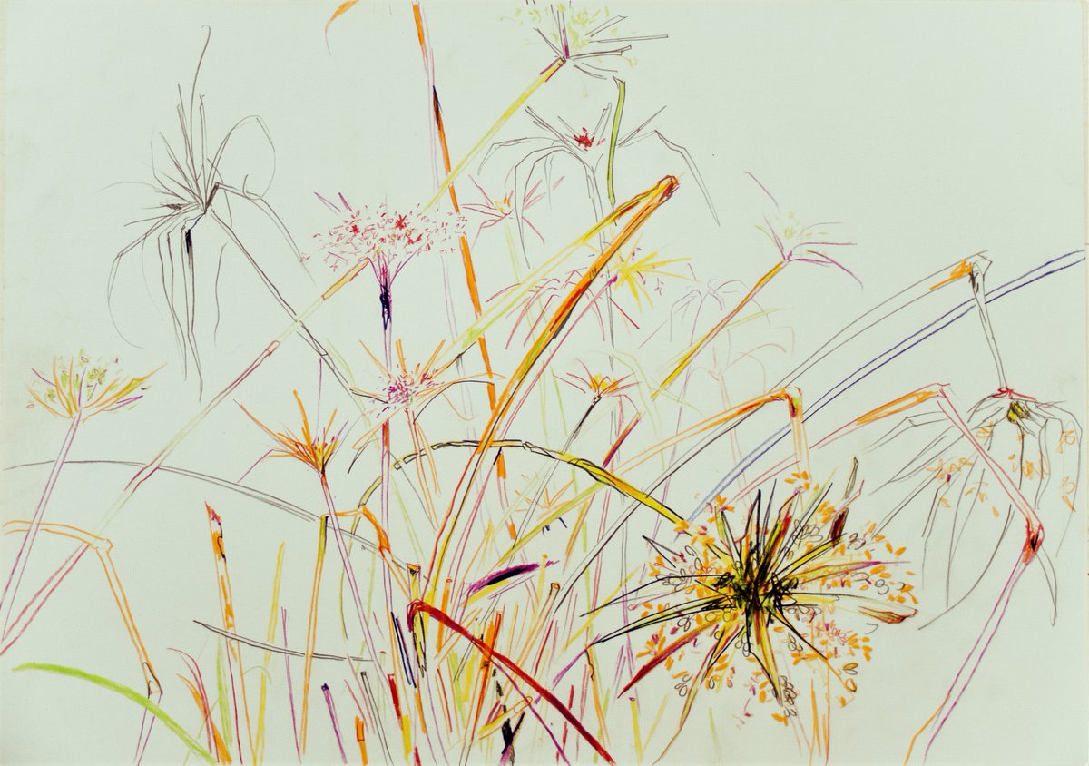 InTotoGallery's tweet photo. 'Plant V,2018,Mixed media on paper,A3' by Philipp Pieroth is an observation of the plant life encountered on his expedition through Barbados. Wildlife is often an aspect that can depict Paradise.
#PhilippPieroth #jozi #exhibition #Paradise #mixedmedia #contemporaryart https://t.co/BMbV7jw3nk