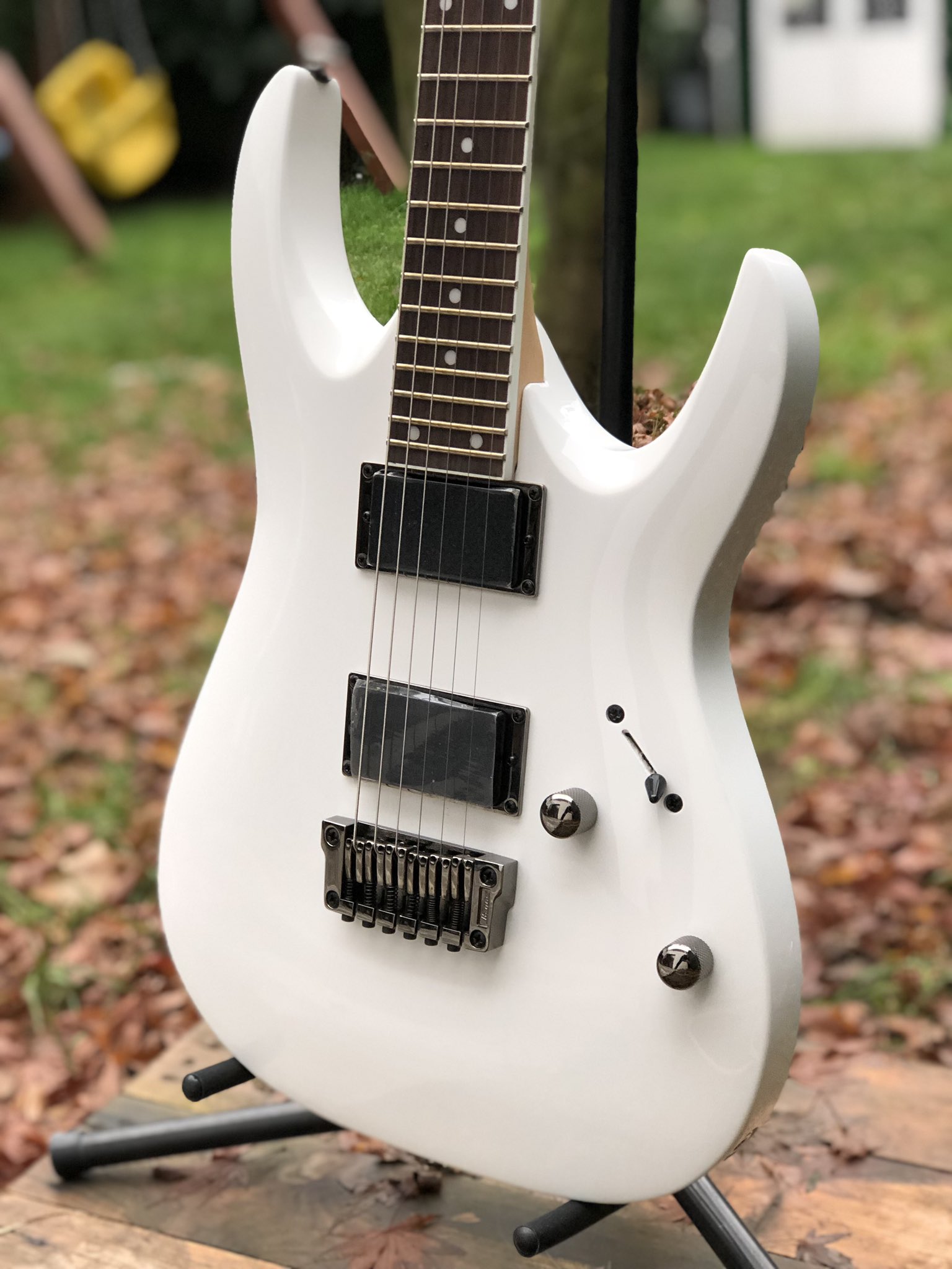 Ibanez top rga32 price