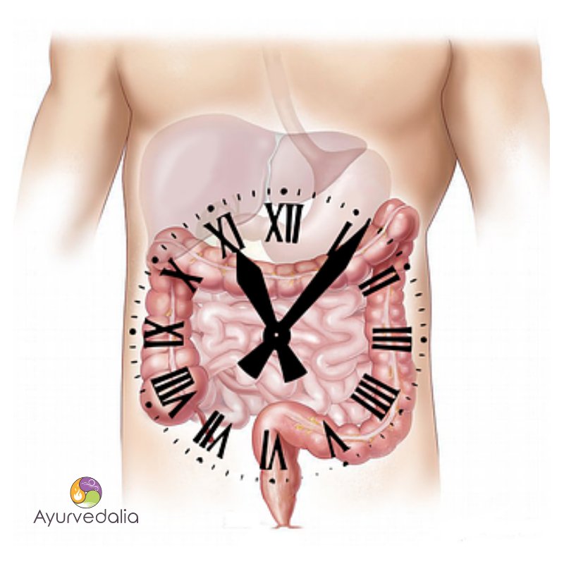 ayurvedalia's tweet photo. Para mantener nuestra salud debemos optimizar la digestión, en Ayurveda, resulta esencial tener un buen "poder digestivo". El término en sánscrito es #agni, podemos decir que es el principio de transformación del cuerpo. https://t.co/W6fQHIBElv
