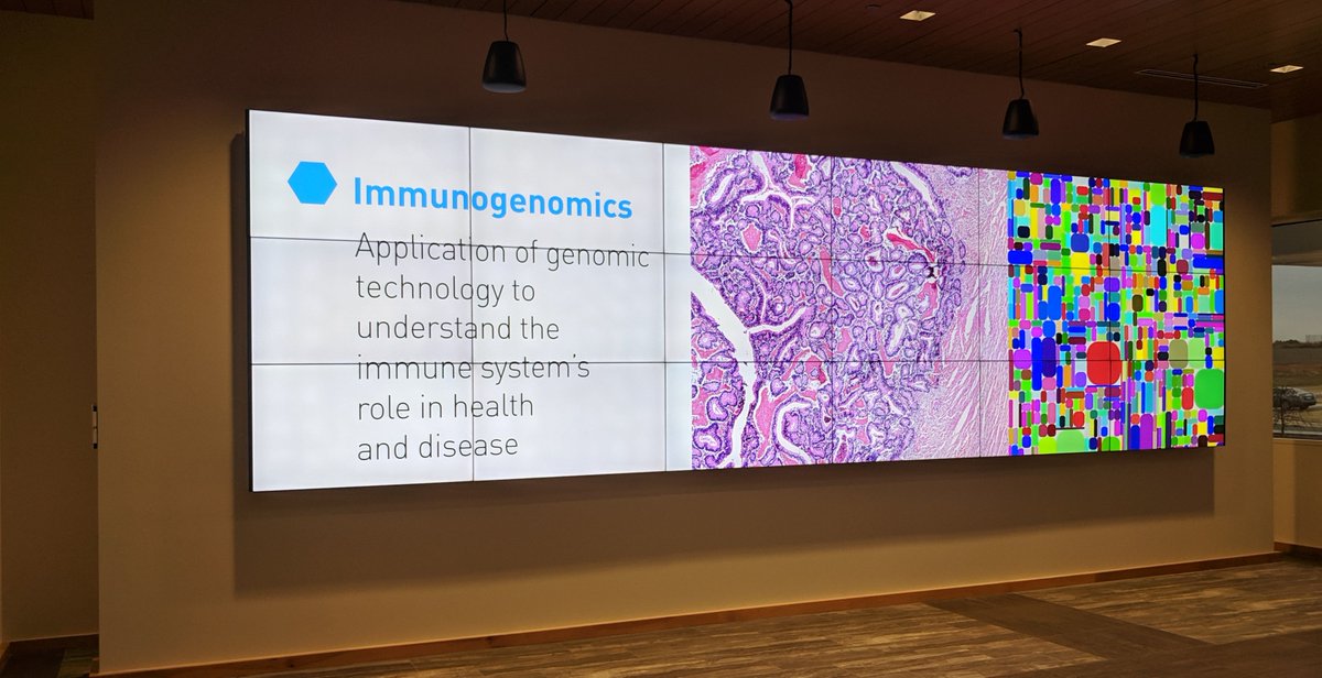 Happy to kick off two new assessment projects in Huntsville with <a href="/HudsonAlpha/">HudsonAlpha</a> Institute for Biotechnology with <a href="/neillamb/">Neil Lamb, PhD</a>  <a href="/drhott/">Adam M Hott</a> and the <a href="/HAEdOutreach/">Educational Outreach</a> team together with dev partner@KEYSYS. Building and measuring effects of Filtered, an NIH funded genomics game for HS students!
