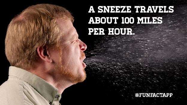 funfact_app tweet picture