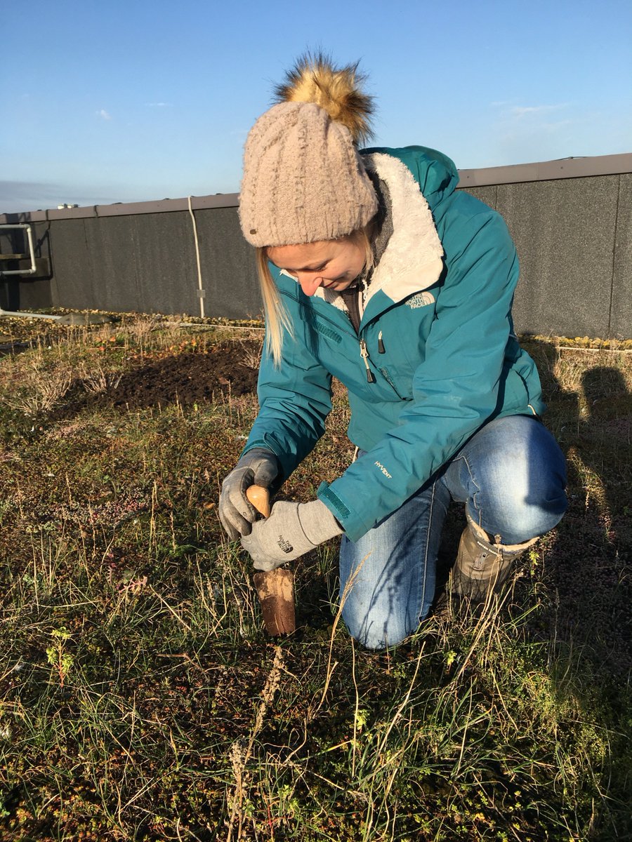 oakesenviron tweet media