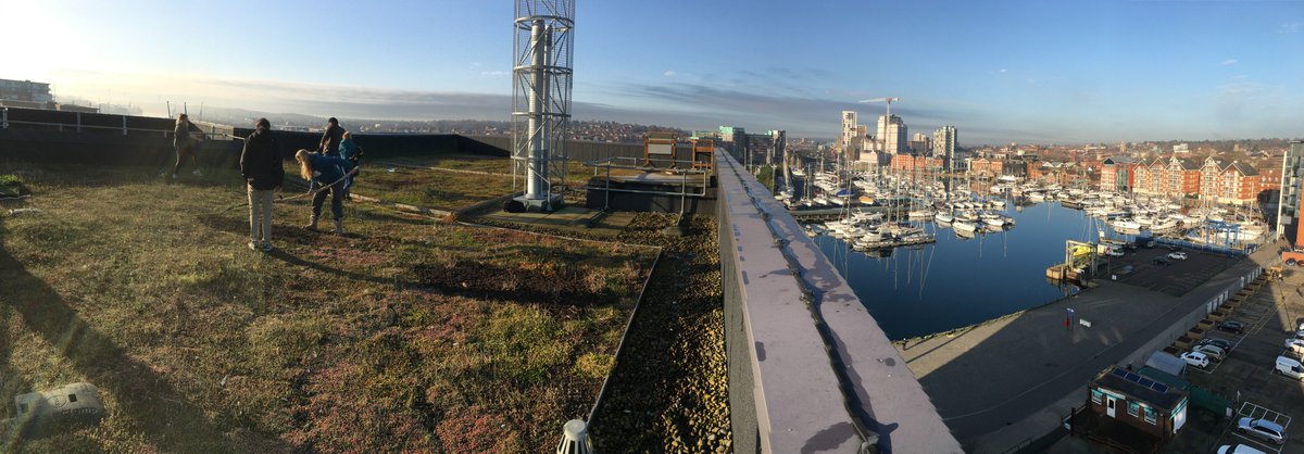 oakesenviron (@oakesenviron) on Twitter photo And on the James H roof today?...wild clary, cowslip, tufted vetch, Alice, corn chamomile, Phoebe, oxeye daisy, Louis, vipers bugloss, <a href="/DavidDowding2/">David Dowding</a> and <a href="/marktbowler/">Mark Bowler</a> as <a href="/uoswildlife/">University of Suffolk Wildlife</a> sow and plant for Phase Two of our Living Roof - Living Lab #urbanbiodiversity #builtenvironment And on the James H roof today?...wild clary, cowslip, tufted vetch, Alice, corn chamomile, Phoebe, oxeye daisy, Louis, vipers bugloss, <a href="/DavidDowding2/">David Dowding</a> and <a href="/marktbowler/">Mark Bowler</a> as <a href="/uoswildlife/">University of Suffolk Wildlife</a> sow and plant for Phase Two of our Living Roof - Living Lab #urbanbiodiversity #builtenvironment