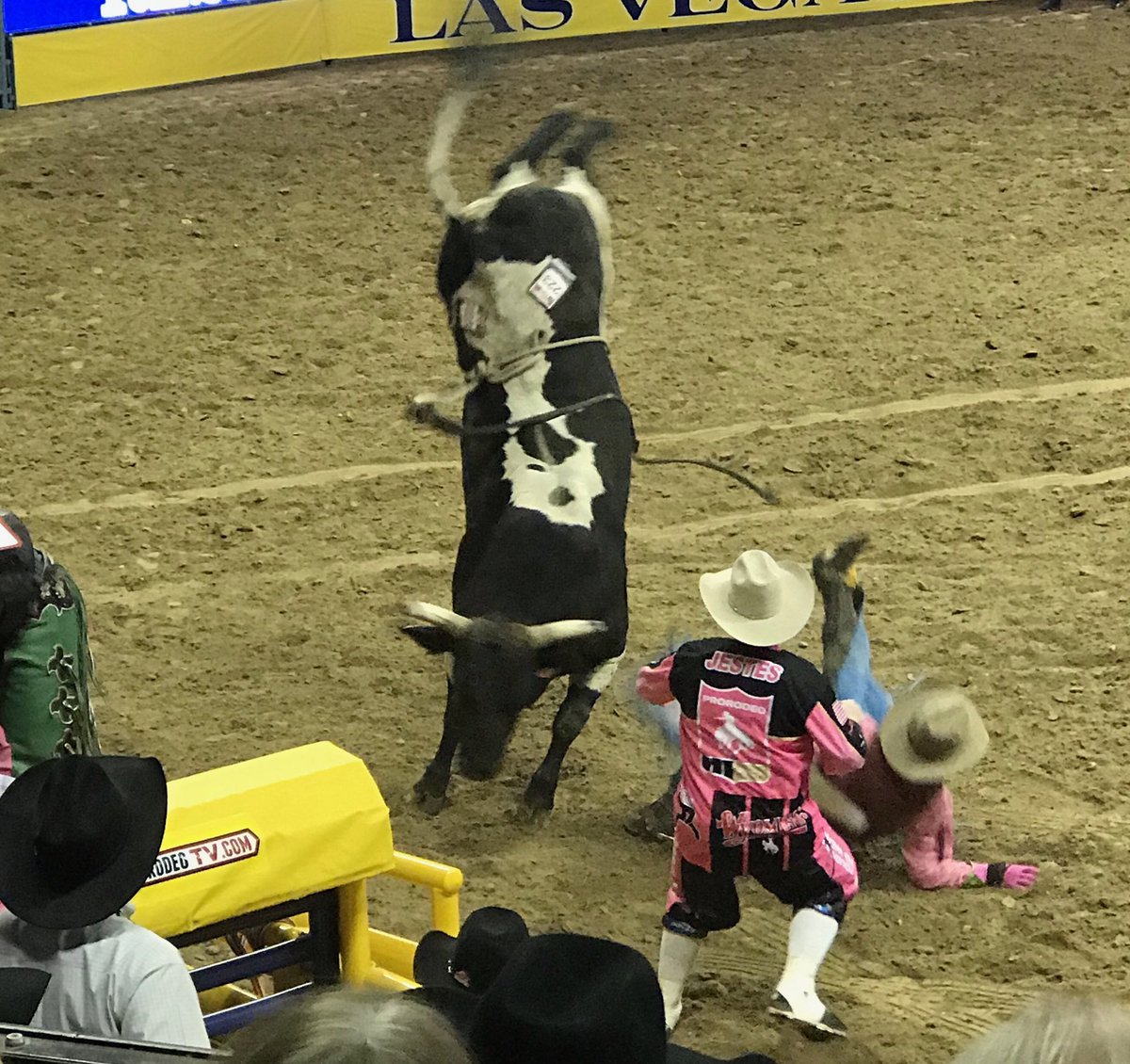 Bob Tallman (@tallman_bob) on Twitter photo Isnāt it amazing that this bull can buck a cowboy off AND do a handstand in less the 8 seconds! What an athlete! @Priefert_MFG <a href="/BoydEvents/">Boyd Gaming Events</a> <a href="/bootbarn/">Boot Barn</a> <a href="/Wrangler/">Wrangler Jeans</a> <a href="/Resistolhats/">Resistol Hats</a> <a href="/bigtextrailers/">Big Tex Trailers</a> #NFR2018 #pinknight #athlete #rodeo Isnāt it amazing that this bull can buck a cowboy off AND do a handstand in less the 8 seconds! What an athlete! @Priefert_MFG <a href="/BoydEvents/">Boyd Gaming Events</a> <a href="/bootbarn/">Boot Barn</a> <a href="/Wrangler/">Wrangler Jeans</a> <a href="/Resistolhats/">Resistol Hats</a> <a href="/bigtextrailers/">Big Tex Trailers</a> #NFR2018 #pinknight #athlete #rodeo