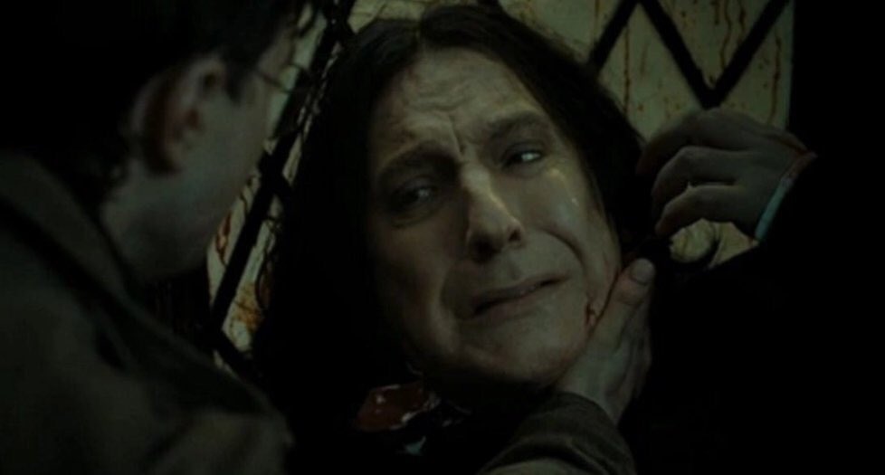 Harry_Potter_TM's tweet photo. Qué muerte te dolió más? 

RT - Dobby 

MG - Snape https://t.co/UMprlNmulZ