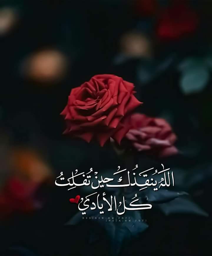 Hamd elkoulh (@elkoulh) on Twitter photo 