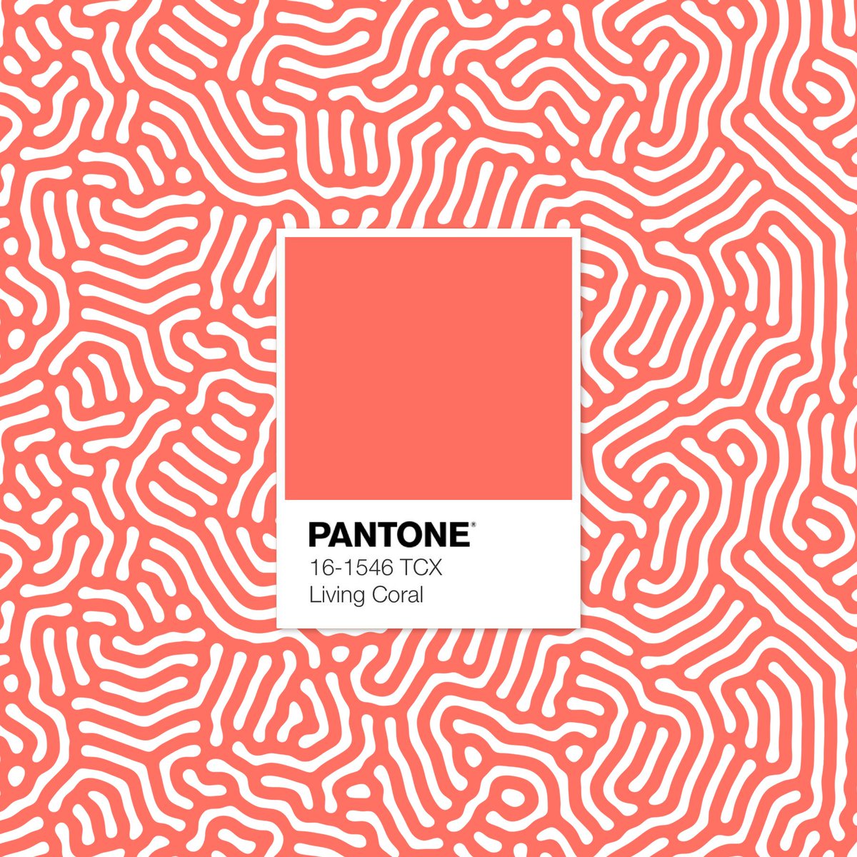 BreakSeventeen's tweet photo. Pantone has selected a peachy orange colour named Living Coral (Pantone 16-1546) as its colour of the year for 2019. 
The colour is described by Pantone as an "animating and life-affirming coral hue with a golden undertone that energises and enlivens with a softer edge." https://t.co/HmmI3uW6f9