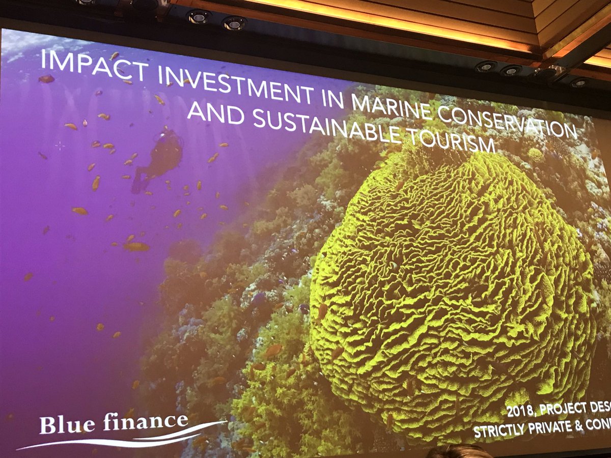 graca_patricia's tweet photo. #blendingfinance for #impactinvestment for #SDGs joining loans &amp; grants and de-risking for the benefit of #social #economic #environmental #SustainableDevelopment of #CaboVerdef4dev The future is now! @EU_Commission @UNDP @WorldBank @BlueFinance https://t.co/eXcWUz0WbL