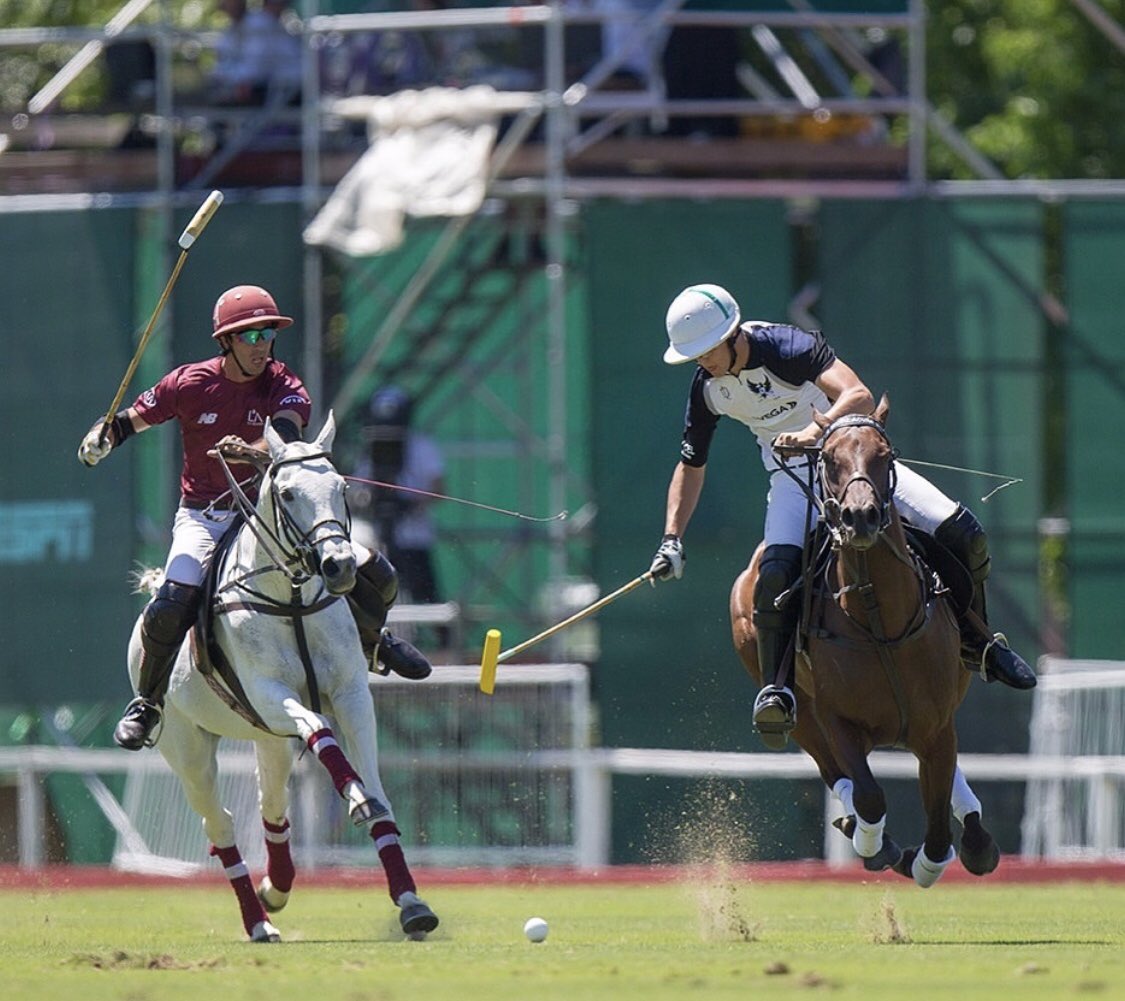 Once you learn to fly, you never stop! 🦅 <a href="/juanmartinzubia/">Juan Martin</a> #APPLplayer #FullSpeedPolo