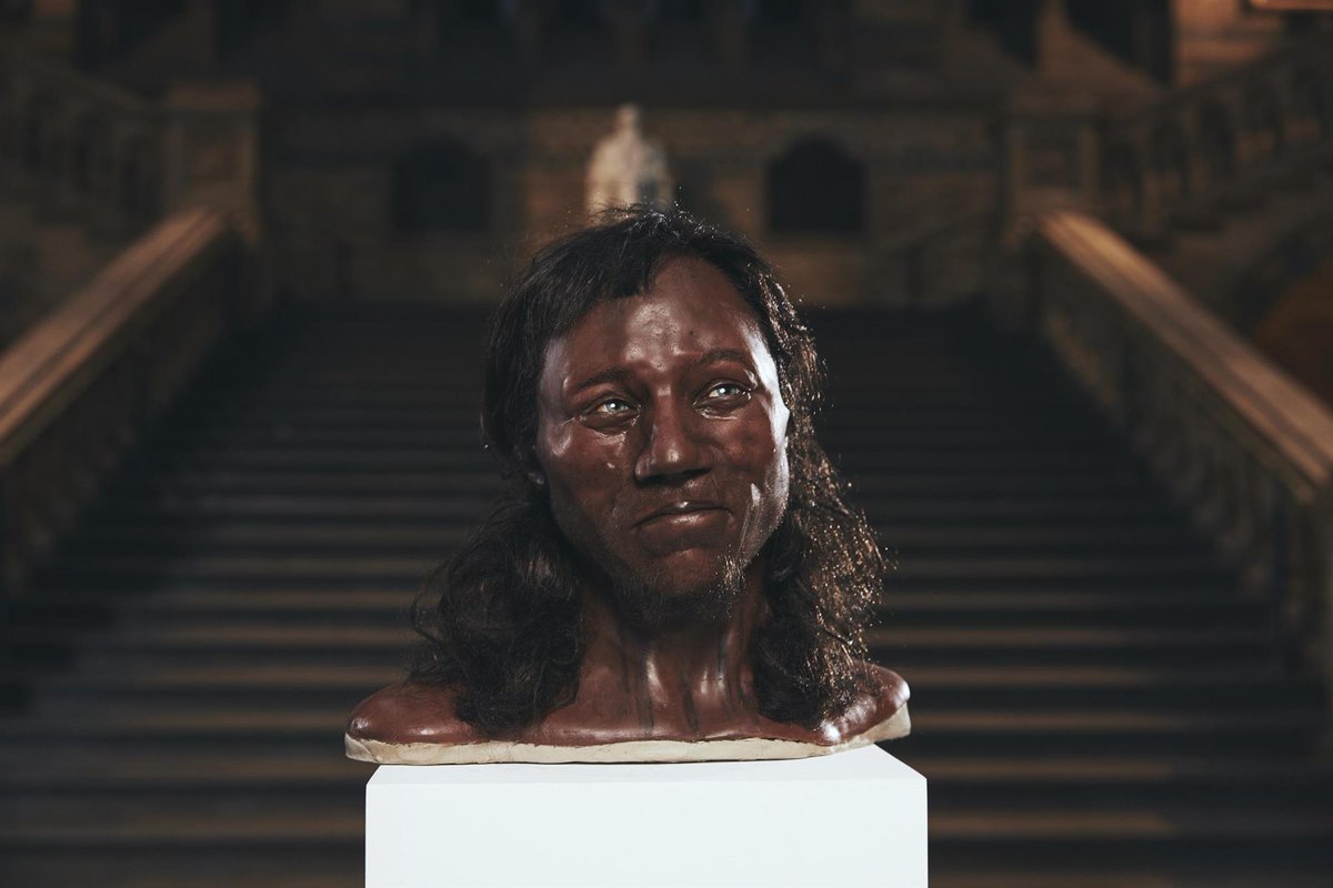 Plus History On Twitter The Man Of Cheddar The Oldest Human