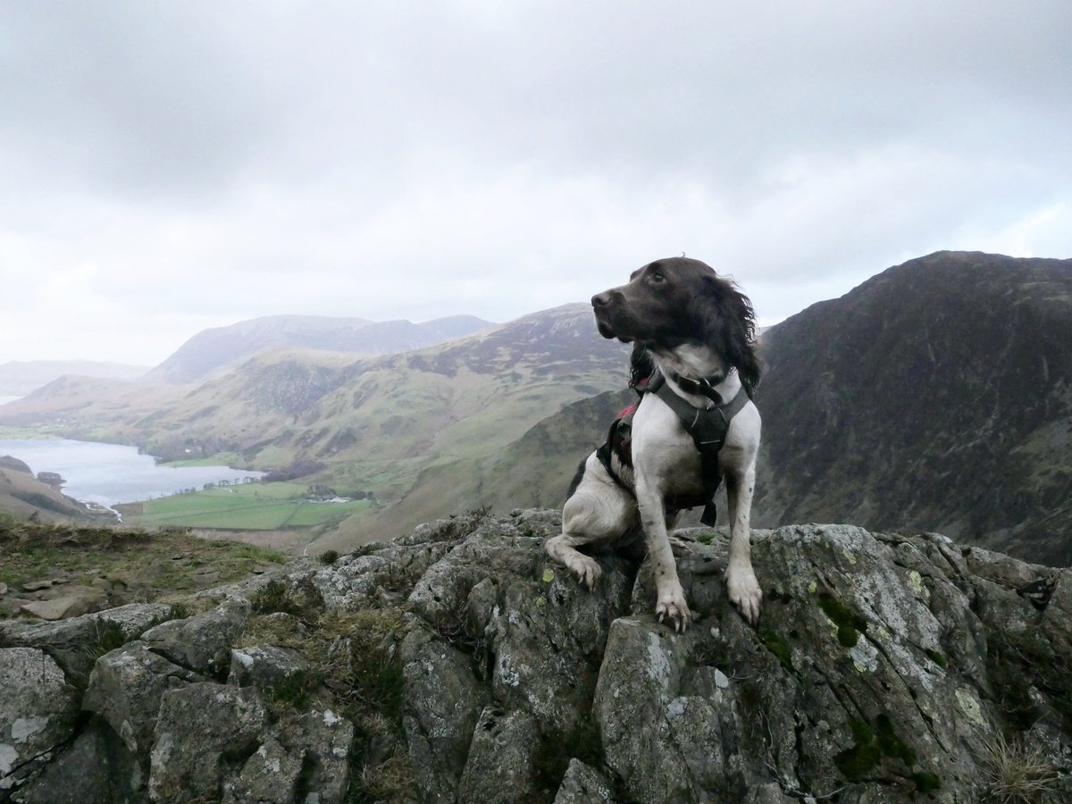 Hannah_outside's tweet image. Daily winter walks with Flo around my #northyorkshire home, heading to the hills and catching a few welsh sunrises 🤞Hopefully many more days like this &amp;gt; hannahoutside.com/2018/02/10/kes… Ooh, and a few days here and there on getting our new allotment going 🥦 #OutdoorBloggers #8kflexwarm