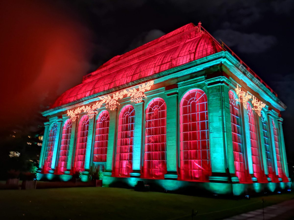 edinburgh's tweet photo. ⏰ Last chance to see! ⏰

You've only got a few more days to catch #ChristmasattheBotanics. Don't miss this beautiful festive light trail at @TheBotanics 👉 https://t.co/fP3ers7j7B

#ThisisEdinburgh #Ad https://t.co/jGvD2WQAhh