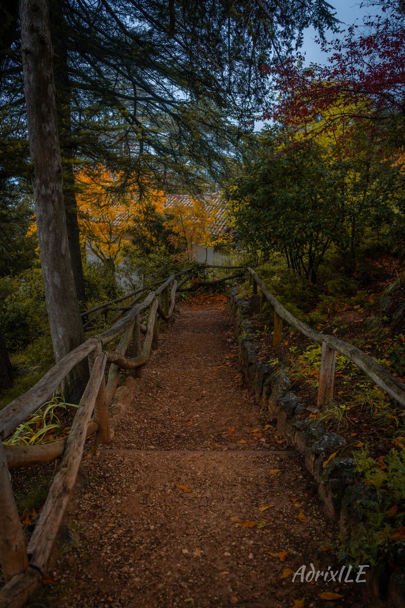 AdrixILE's tweet image. Alcoy y la fuente roja, en unas de sus escaleras, atravesando bosque, parque natural, la naturaleza.

Recuerda que también estoy en Facebook
👉 instagram.com/adrixile.com 👈

#alcoy #alcoi #javea #xabia #parquenatural #bosque #naturaleza #foto #fotografia #followforfollowback