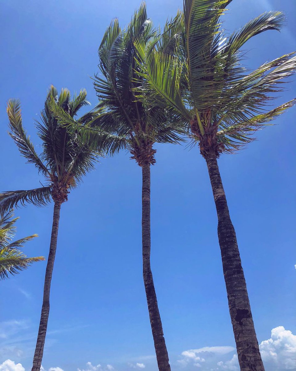 Currently changing my status to "Gone to paradise." | photo: ourtravel.withlove