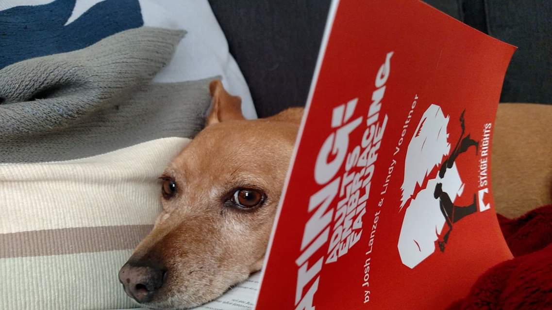 DatingFailure's tweet image. Caught this lil guy reading a classic! (Don't know why he looks so guilty...) #DAEF #Stagewriters #StagerightsLA #AdultsEmbracingFailure #cutedoggies #bucksbie #classic