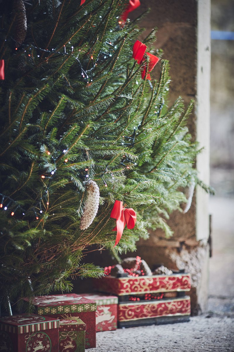 Join us for festive storytelling in our barn, surrounded by the animals and the wonderful smell of pine! If you haven't booked your tickets yet, there's still some available on Eventbrite. bit.ly/2QEBbMi