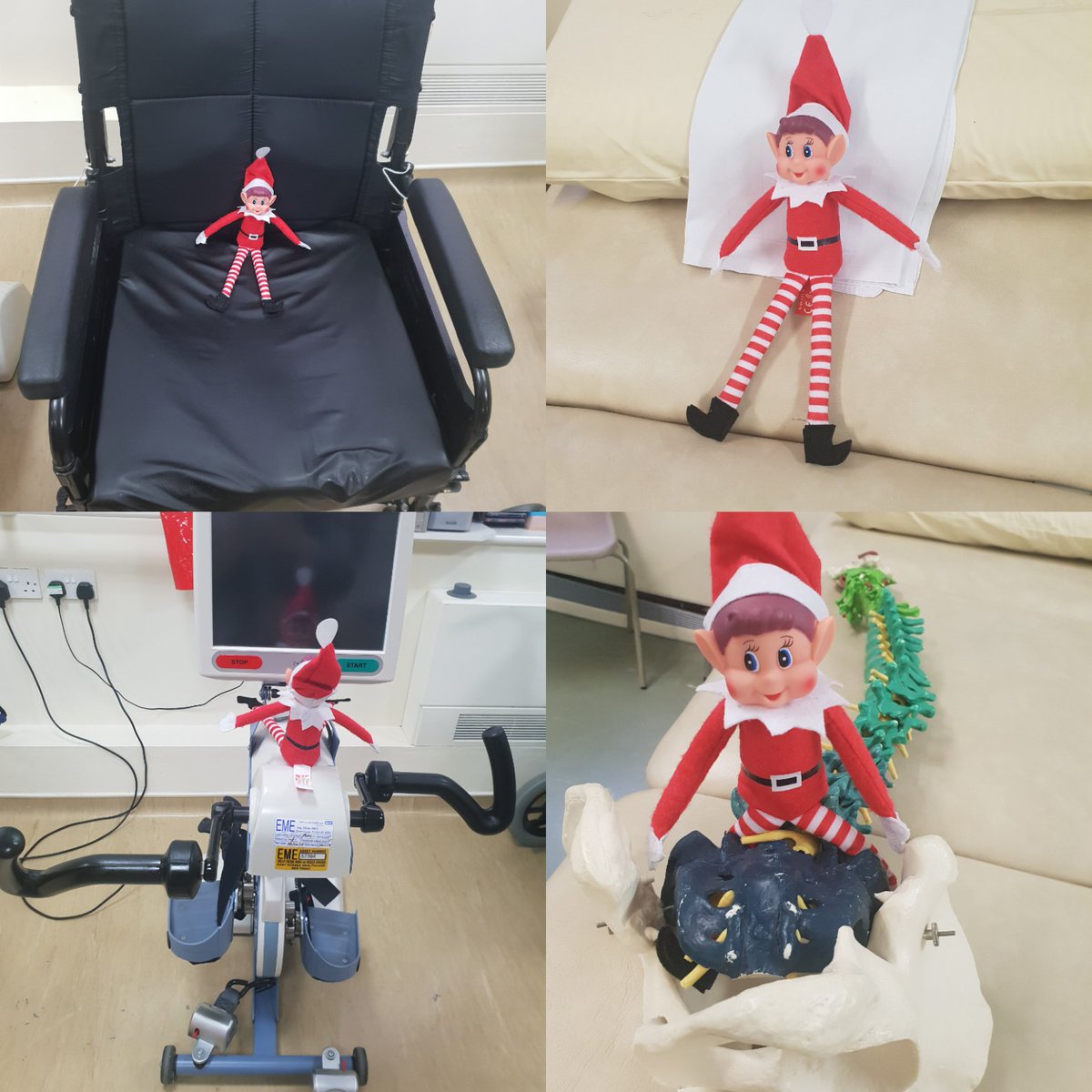ESHTRecruitment's tweet photo. Oh No, Jingle's pulled a muscle, off to Physio ☹️😫 #Domoreofwhatyoulovewithphysio #ourmarvelousteams #work4esht
https://t.co/qcz9iaKy4K https://t.co/BXibBpEsvM