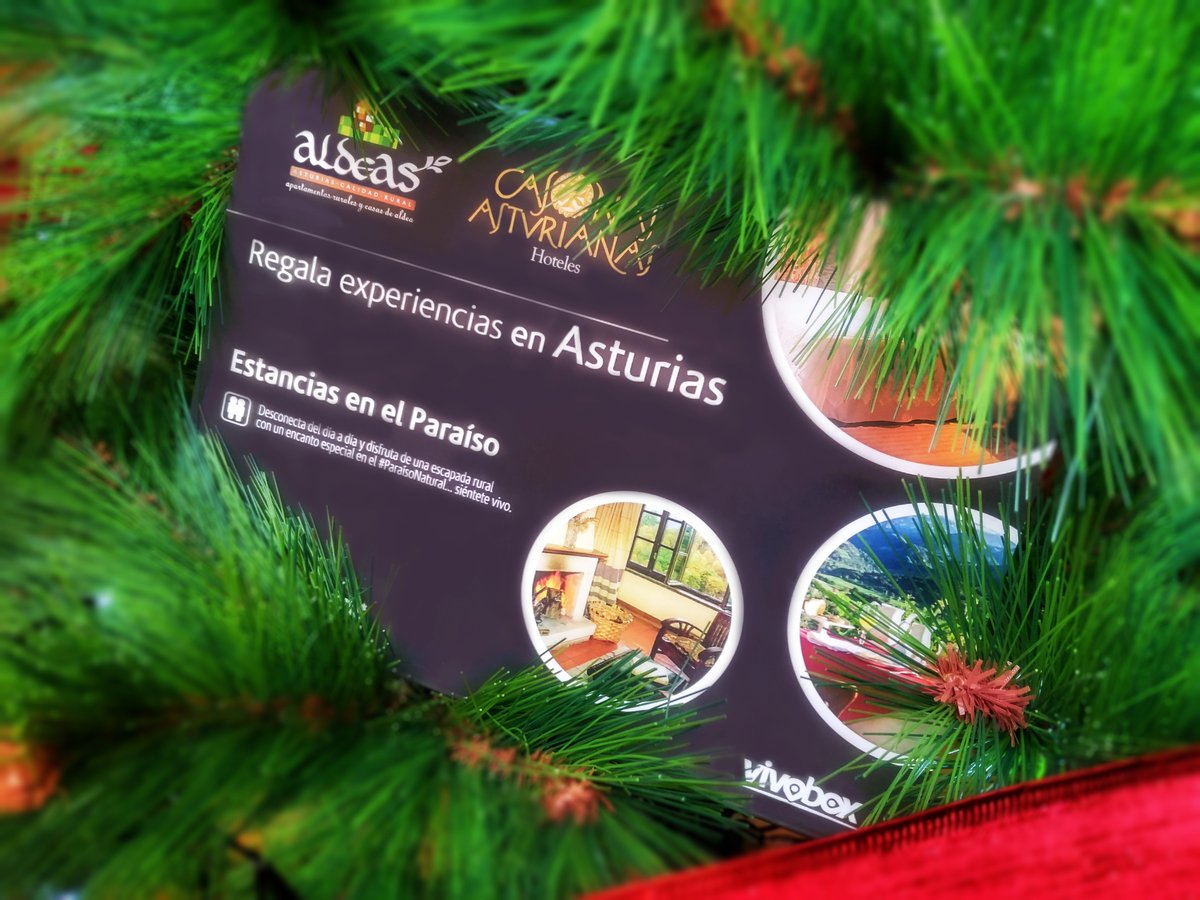 Esta #Navidad te lo ponemos aún más fácil con envío en un 1 día #gratis y papel regalo incluido 🎁💨 vivobox.es · #Experiencias #Asturias #Regalos