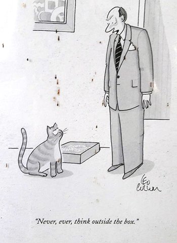 AlbertClack's tweet photo. #cats https://t.co/zA9zlJxFSb
