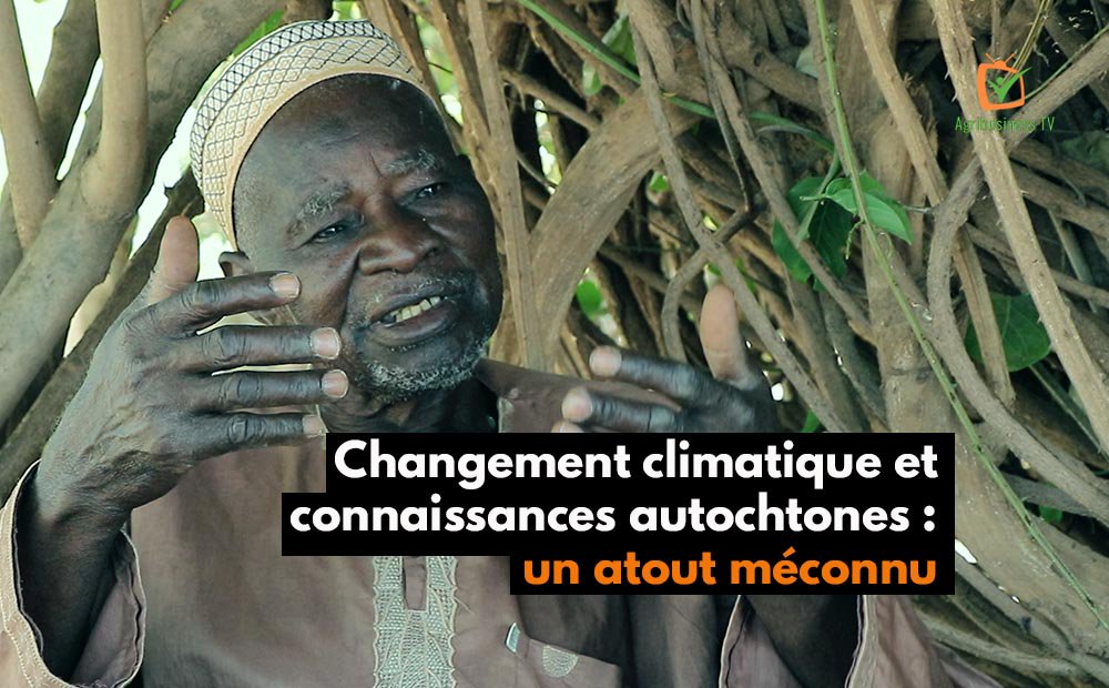 Agribusiness TV tweet media