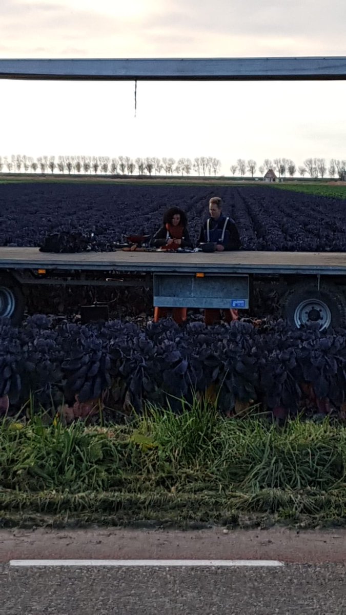 Vandaag lekker gekookt in het veld met Nadia Zerouali! Heerlijke paarse #spruitjes