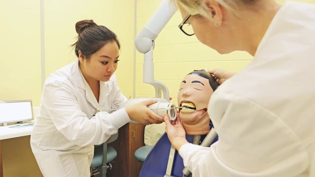 dental_ontario's tweet photo. Southern Ontario Dental College is pleased to announce its new Dental Assisting Program Level I & II.
.
.
.
Read more here: https://t.co/fikclbke4q #DentalAssistingProgram #DentalCollege #SouthernOntario #healthcare #EducationalInstitution #Canada #Ontario https://t.co/ONTwdcmZSC