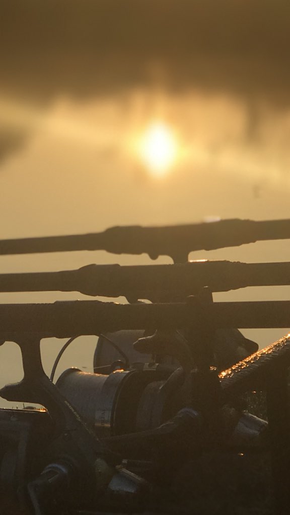 smithbarry's tweet image. #Wintercarp