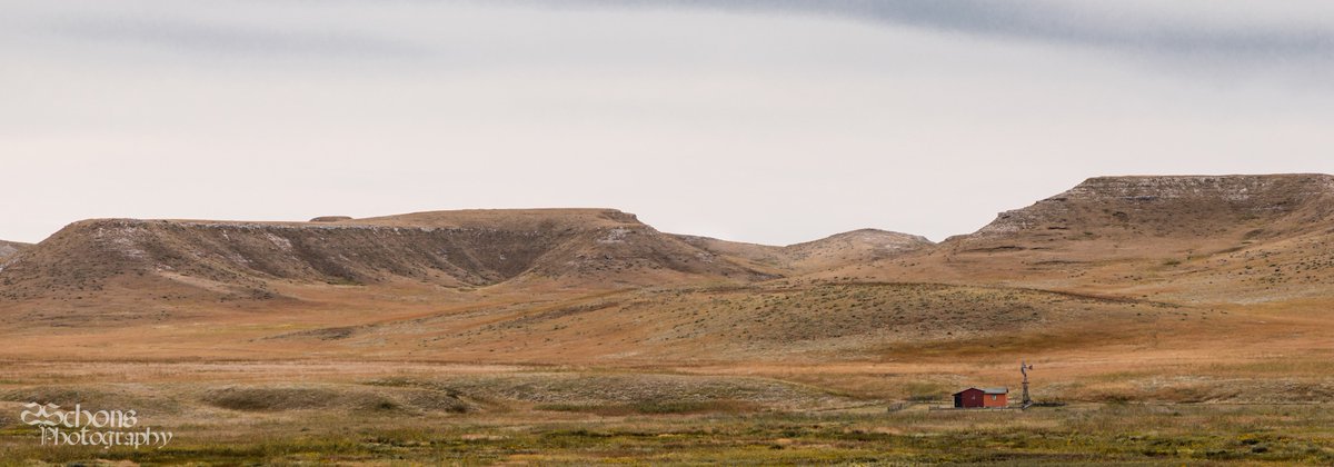 sschons1's tweet photo. The bone cabin at Agate Fossil Beds National Monument, Harrison, NE. 

#landscape #landmark #panorama #cabin #homestead #homesteading #windmill #prairie #history #hiking #nature #west #agatefossilbedsnationalmonument #nationalpark #rural #ruralamerica #nebraska #canon https://t.co/2kbFE2qsHs