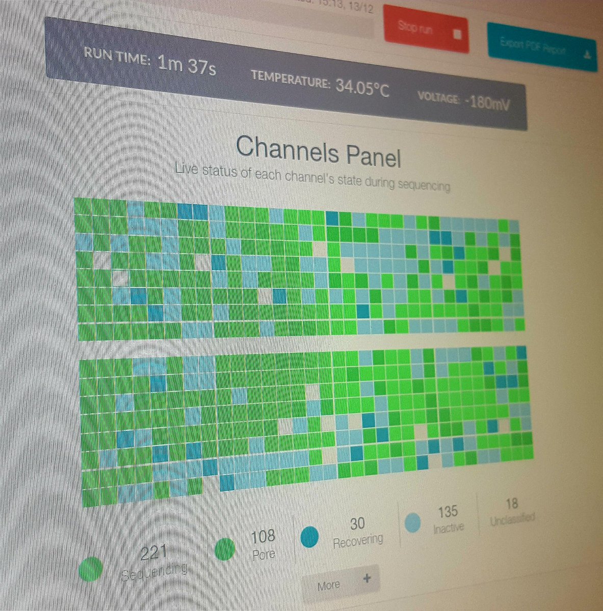 AnnaEgerton's tweet photo. Look at all those active pores! #MinION #PollerGEN @MEFGL @nanopore @nanopore https://t.co/kUUIm1WLFD