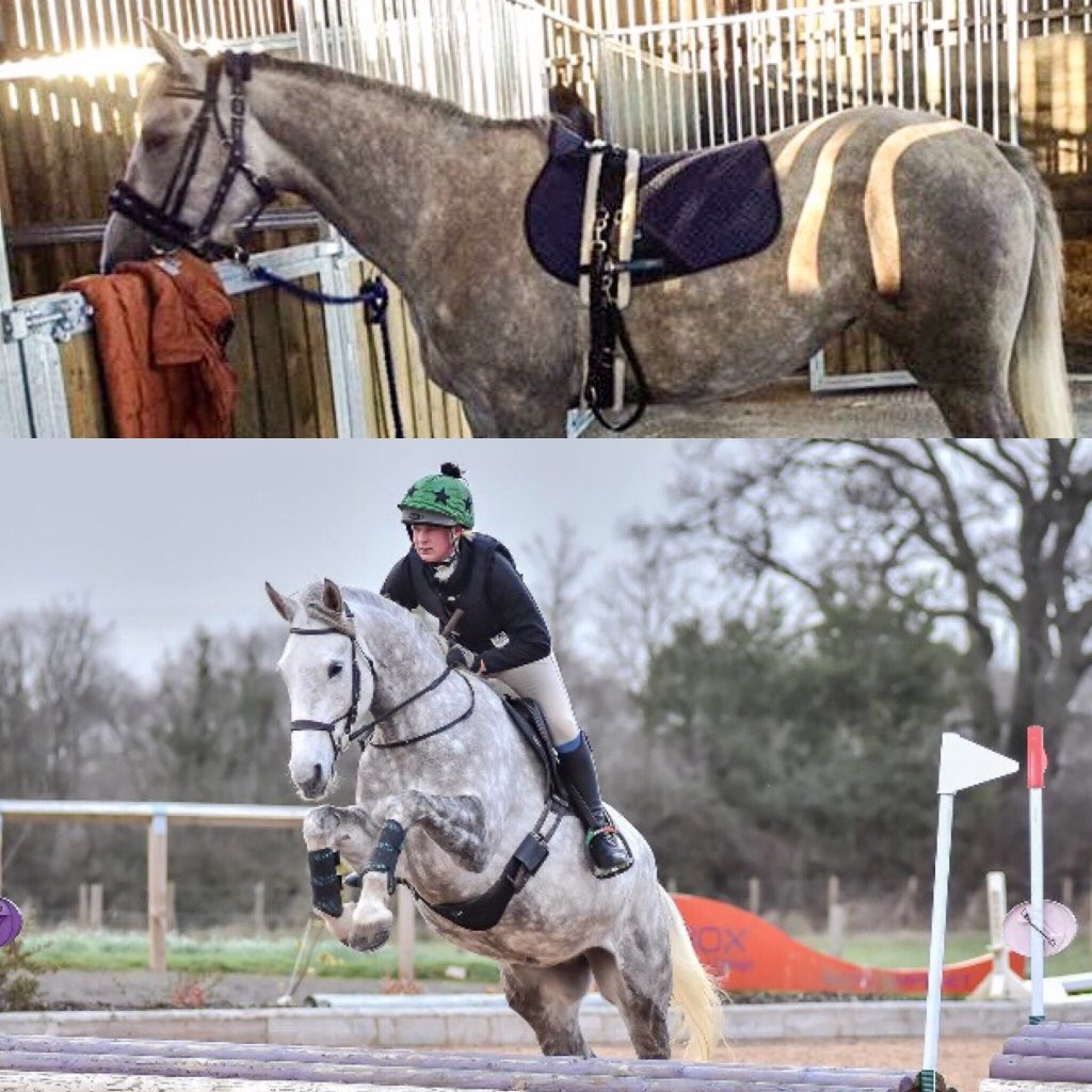 LizzieBlamire's tweet photo. 3 year old to 5 yr old fed & Supported by @PureFeed #purefeed #poweredbypure #hollybushfarm #cumbria https://t.co/BvijV640dy