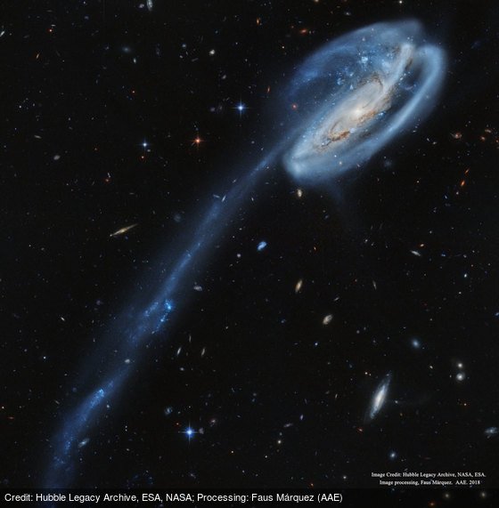 apod's tweet image. [RPT] Arp 188 and the Tadpole's Tail: apod.nasa.gov/apod/ap181211.… by Hubble Legacy Archive, @esa, @NASA ;sProcessing:sFaus M�rquez (AAE)